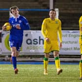 James Maxwell pulled a goal back during a Scottish Cup Third Round tie between Queen of the South and Hibernian at Palmerston on. (Photo by Craig Williamson / SNS Group)