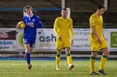 James Maxwell pulled a goal back during a Scottish Cup Third Round tie between Queen of the South and Hibernian at Palmerston on. (Photo by Craig Williamson / SNS Group)