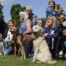 MSPs and their dogs take part in Holyrood Dog of the Year in Edinburgh. At the annual contest, jointly organised by the Kennel Club Club and Dogs Trust, members of the Scottish Parliament compete with their dogs and Dogs Trust rescue dogs for the title of "Holyrood Dog of the Year". Picture: Jeff J Mitchell/Getty Images