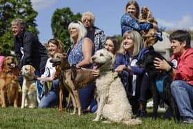 MSPs and their dogs take part in Holyrood Dog of the Year in Edinburgh. At the annual contest, jointly organised by the Kennel Club Club and Dogs Trust, members of the Scottish Parliament compete with their dogs and Dogs Trust rescue dogs for the title of "Holyrood Dog of the Year". Picture: Jeff J Mitchell/Getty Images