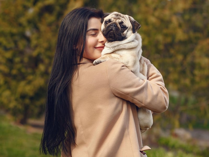 Last place on the Pug name podium goes to Percy. It comes from the Greek name Perseus, meaning 'to destroy'.