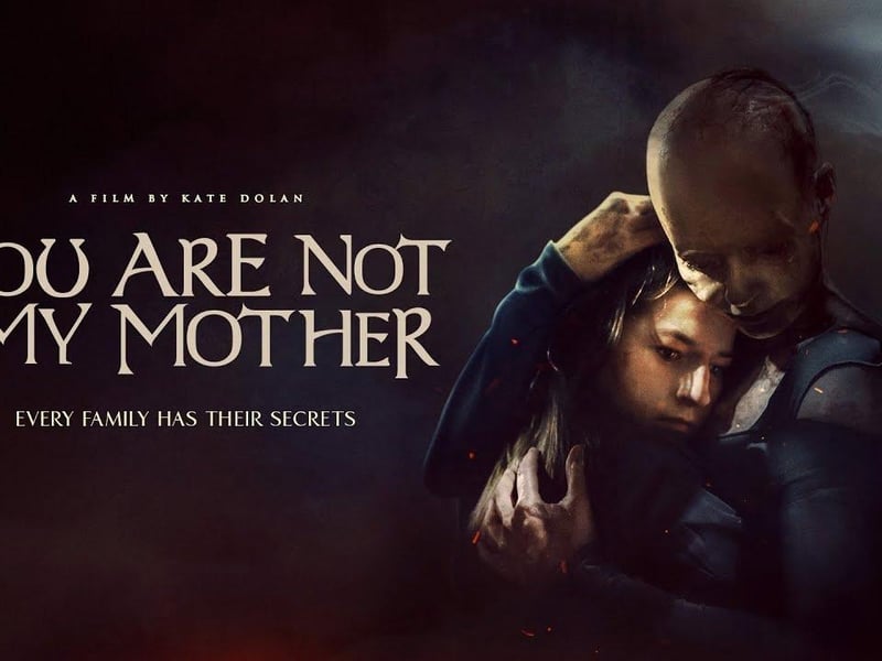 A Mother goes missing in a Dublin household, only to return with a radically changed personality and a dark secret.