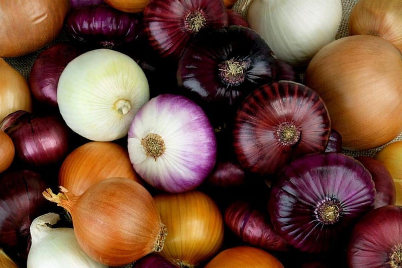 All members of the Allium family, including onions and chives, are poisonous to dogs. Symptoms include nausea and vomiting, abdominal pain, diarrhoea. and in severe cases, anaemia and organ damage. 70 per cent of people were unaware of their toxicity.