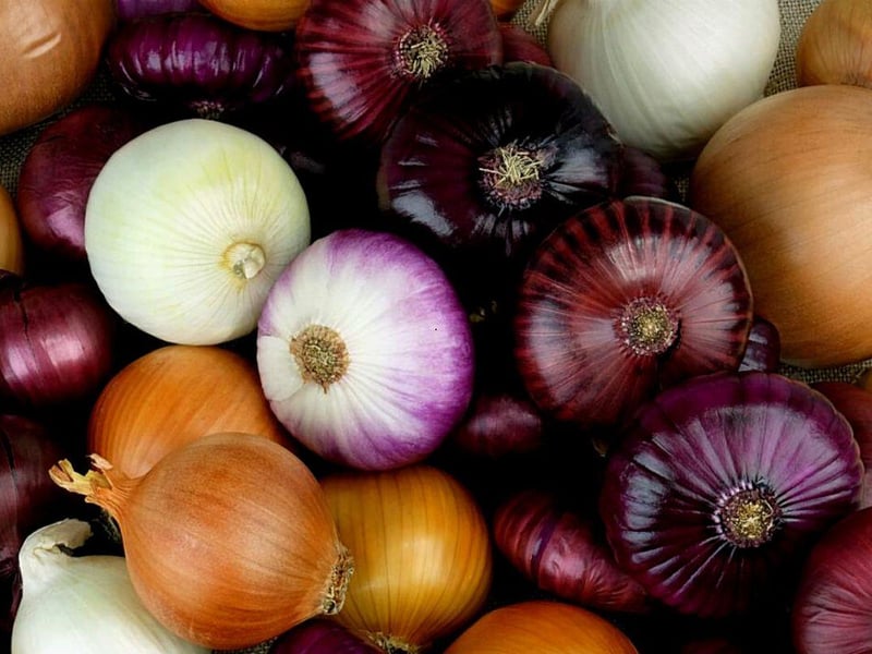All members of the Allium family, including onions and chives, are poisonous to dogs. Symptoms include nausea and vomiting, abdominal pain, diarrhoea. and in severe cases, anaemia and organ damage. 70 per cent of people were unaware of their toxicity.