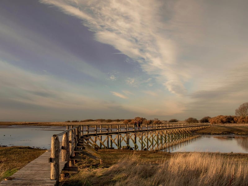 Plenty of other areas of East Lothian are good for wannbe astronomers, including the areas around Drem, Gullane, Athelstaneford and East Linton. Aberlady Nature Reserve is a particularly fine spot for a night looking to the heavens.