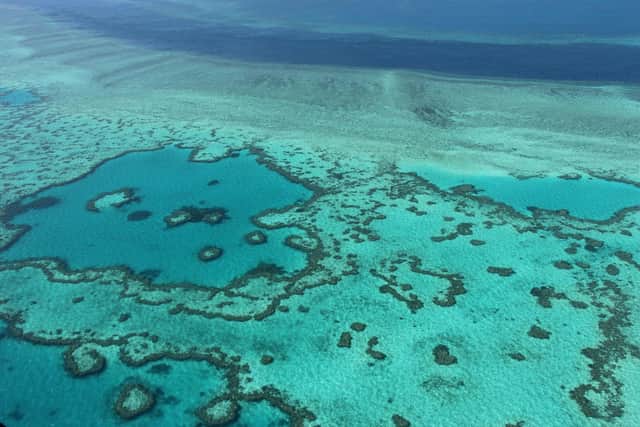 An aerial view of the Great Barrier Reef off the coast of the Whitsunday Islands, along the central coast of Queensland. Picture: Sarah Lai/AFP via Getty Images