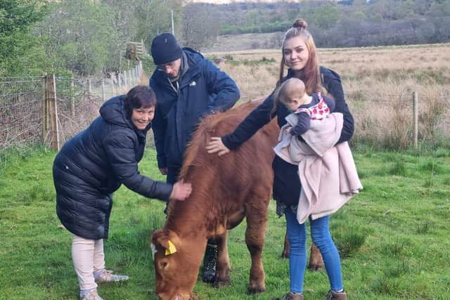 Krissy Gray gets to know Bullby as he is delivered by Charlotte Smith and Steven Khan.