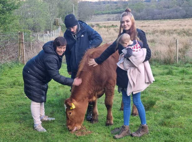 Krissy Gray gets to know Bullby as he is delivered by Charlotte Smith and Steven Khan.