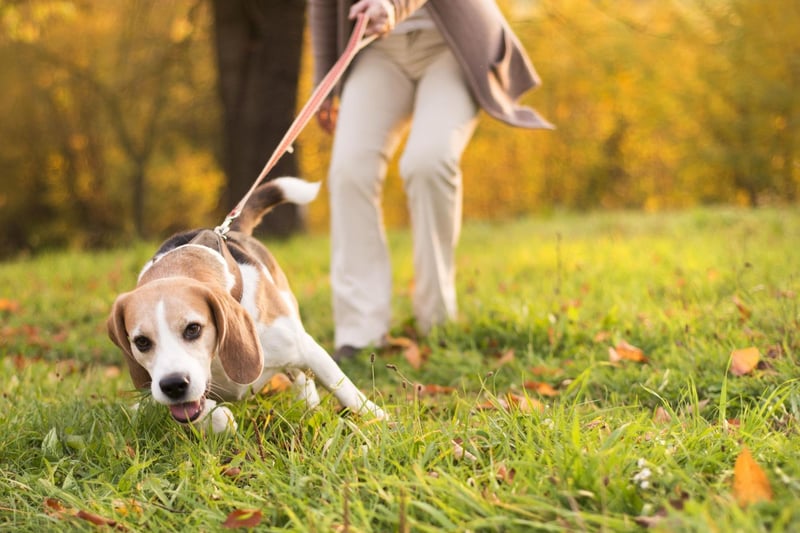 Walk in open spaces - if you feel uncomfortable, try to opt for open, populated spaces where you can be easily seen.