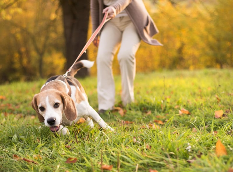 Walk in open spaces - if you feel uncomfortable, try to opt for open, populated spaces where you can be easily seen.