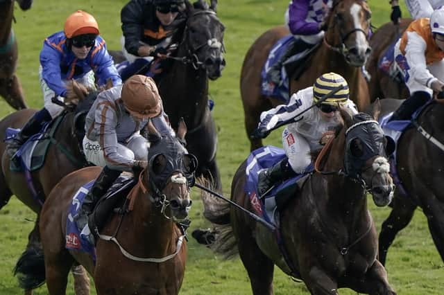 Albasheer (yellow cap) will race under Hollie Doyle at the Virgin Bet Gold Cup.