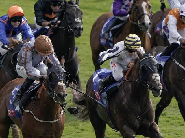 Albasheer (yellow cap) will race under Hollie Doyle at the Virgin Bet Gold Cup.