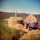 Haystacks and kids at Satran in 1963. PIC: Minginish Centenary Project.