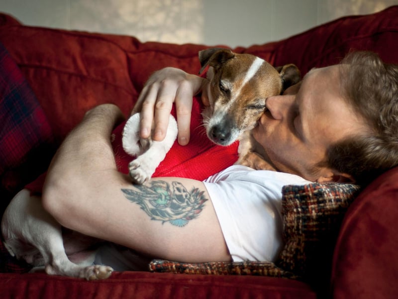 If your dog is constantly sniffing at various parts of your body it's just because they love you - and your scent - very, very much.