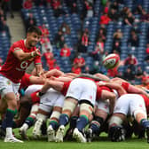 Scrum half Conor Murray has been appointed Lions captain following the injury to Alun Wyn Jones.