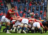 Scrum half Conor Murray has been appointed Lions captain following the injury to Alun Wyn Jones.
