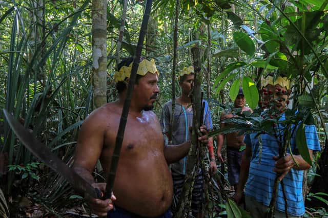 Satere-Mawe indigenous men collect medicinal herbs such as carapanauba, caferana and saratudo to treat people showing symptoms of Covid-19 coronavirus in their community Wakiru in Taruma, a rural area west of Manaus, Amazonas State, Brazil (Picture: Ricardo Oliveira/AFP via Getty Images)