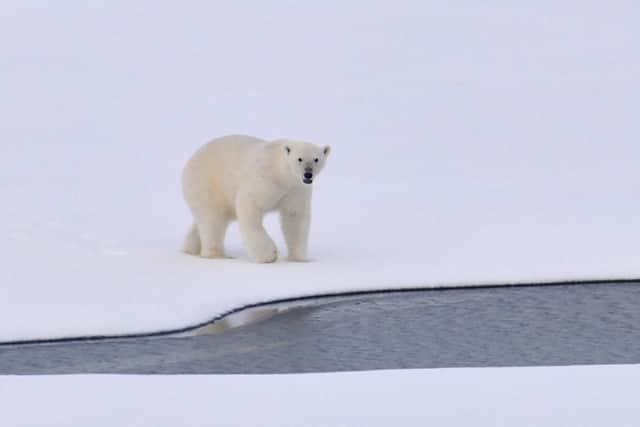 We are risking irreversible loss of the Greenland and West Antarctic ice sheets – which together hold enough water to raise sea levels by over 10 metres, writes Professsor Tim Lenton.