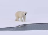 We are risking irreversible loss of the Greenland and West Antarctic ice sheets – which together hold enough water to raise sea levels by over 10 metres, writes Professsor Tim Lenton.