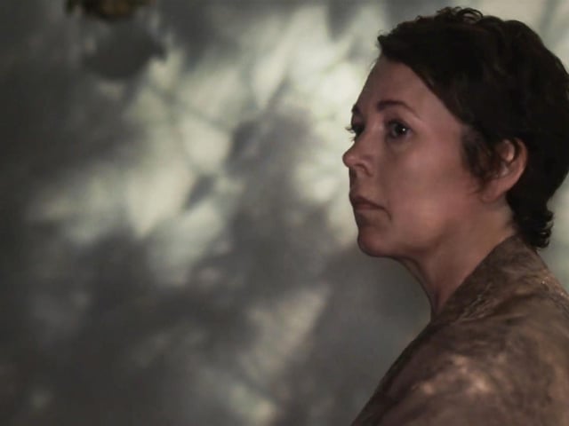 You can't get more highly rated than an Oscar nomination - and that's exactly what Maggie Gyllenhaal's directorial debut has been handed. The psychological drama film is based on the 2006 novel of the same name by Elena Ferrante.