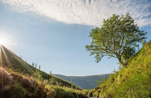 The Woodland Trust is the largest conservation charity of its kind in the UK, with more than 500,000 supporters
