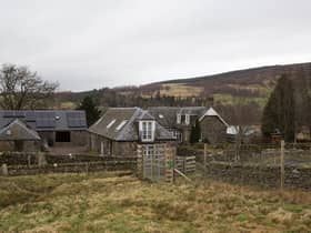 Thàinig 24 tuathanasan beinne air a’ mhargaidh ann a 2022 - àireamh nas àrda na tha àbhasiteach. (Dealbh: ROBERT PERRY/AFP via Getty Images)