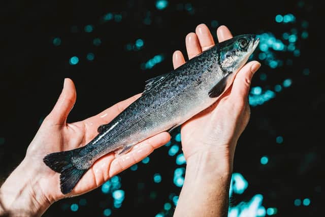Scottish Sea Farms has won the VIBES Scottish Environment Business Award for innovative work to recycle fish waste into nutrient-rich agricultural fertiliser at its salmon hatchery near Oban