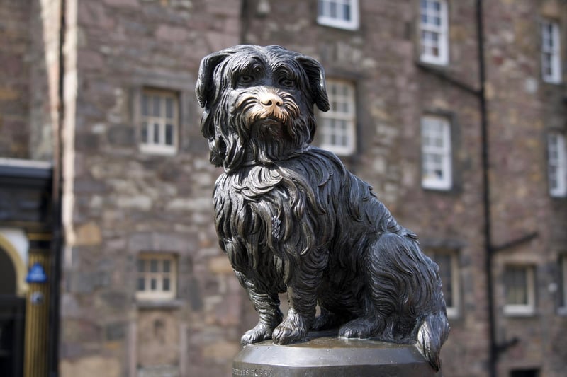 No trip to Edinburgh is complete without paying your respects to the ‘good boy’ himself, Greyfriars Bobby. Thought to be a Skye Terrier or Dandie Dinmont Terrier, he became well-known in 19th century Edinburgh after word spread that the devoted doggy spent 14 years guarding the grave of his owner. Tourists are discouraged from rubbing his nose for good luck as this is reportedly just a modern-day myth that a tour guide made up to amuse his audience.