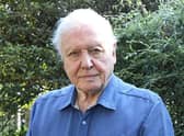 Sir David enjoyed making a documentary with the late Queen