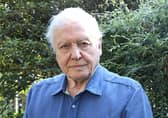 Sir David enjoyed making a documentary with the late Queen