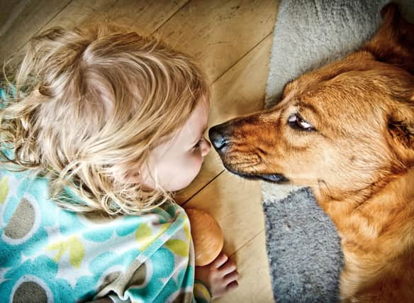 These are 10 of the most child-friendly breeds of dogs.