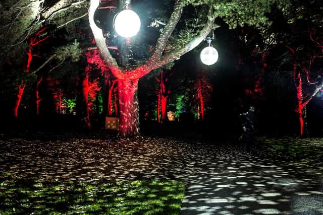 Disco lights transforming the Royal Botanic Garden Edinburgh