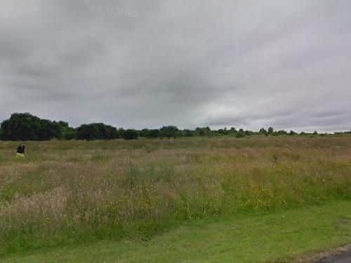 Points: 9 (Pictured: Gourlay Park)
