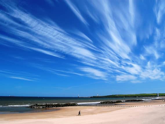 Aberdeen beach is a great place to spot bottlenose dolphins in the summer. (Image: Shutterstock)