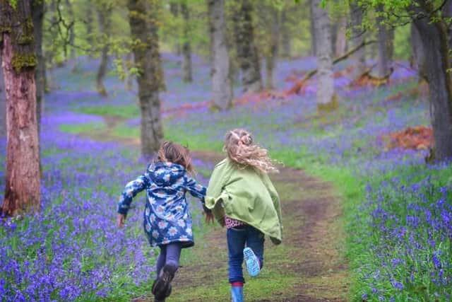 As the name suggests, this woodland is an ideal place to spot some bluebells this spring. It is also one of the largest oak woodlands in Scotland, and was previously known as Ballathie Bluebell Wood.