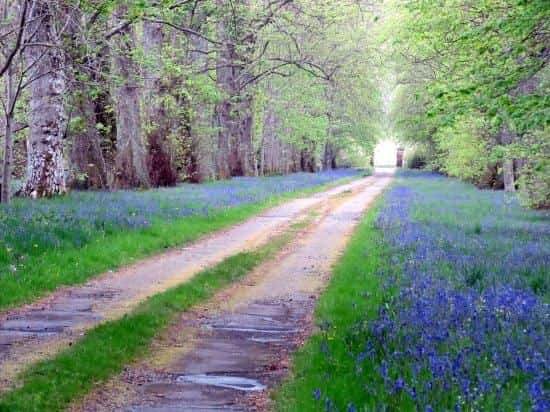 Legend has it that this Highland glen was once the scene of a well-dressing ceremony, where children from the village decorated the village decorated a pool with flowers to ensure that the fairies kept the water supply clean.