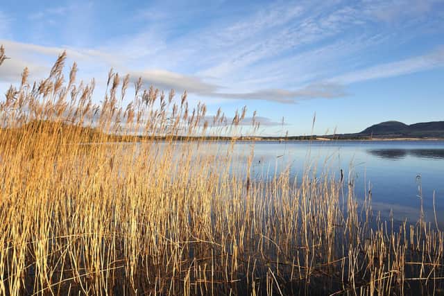 Beautiful Loch Leven is next on the route, where lapwings, little ringed plovers and whooper swans gather and visitors  enjoy the trails around this landmark nature reserve.