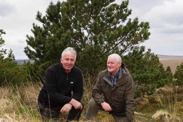 Former Western Isles MP Calum MacDonald and crofter Duncan Mackay at the Crofter Forestry Act plantations near Stornoway which had a "transformational" effect on the way crofters worked and earned.