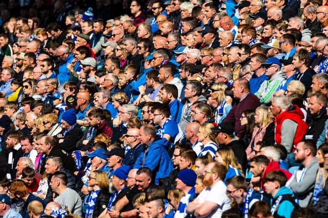 Killie finished third and qualified for Europe under new Scotland boss Steve Clarke. The Rugby Park side added 1,505 to their average attendance, up 27.9 per cent from 5,390 to 6,895.