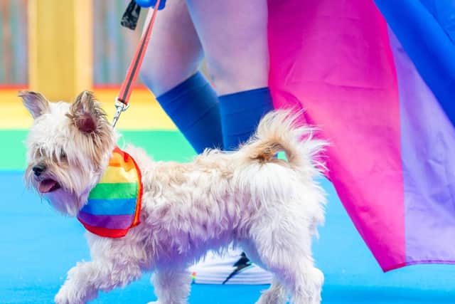 Ruby Smith (14) and her little dog Achilles proudly joined in with the fun.