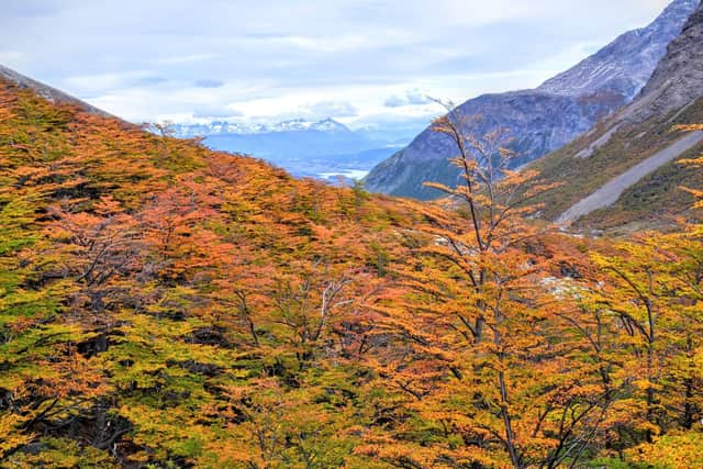 The summer season (December to March) is the most popular time for this trek but it can be busy with visitors.