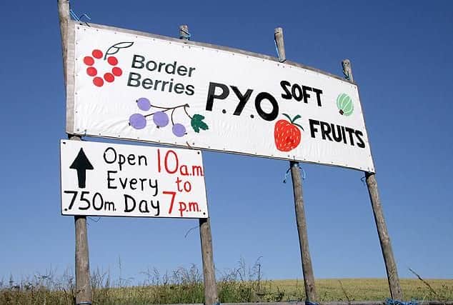 One of Scotlands oldest, family-run fruit farms in the Scottish Borders, Border Berries grow all of their fruit outside with no heating or polytunnels. Situated on the A699, the farm also has a caf and picnic area.