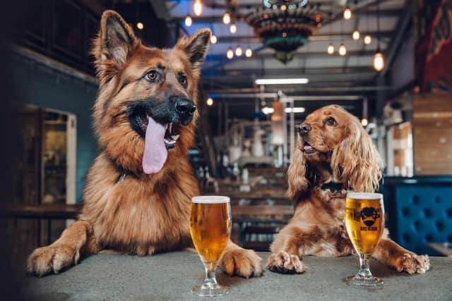 Ellon-based Brewdog has had great success with this model through its Equity for Punks scheme