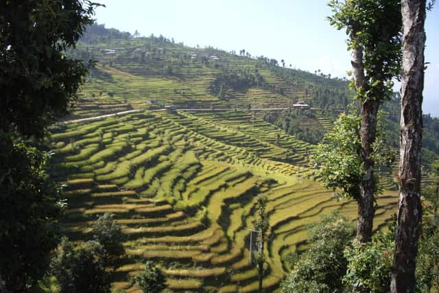This amazing journey will take you through ever-changing scenery; from rice terraces in to the jungle and finally to the very feet of the snowy Himalaya.