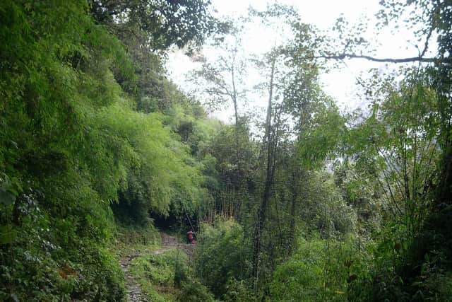 The journey takes about seven days of walking to reach Annapurna Base camp at an altitude of 4130m. Then, six days to come out via the famous Poon Hill.