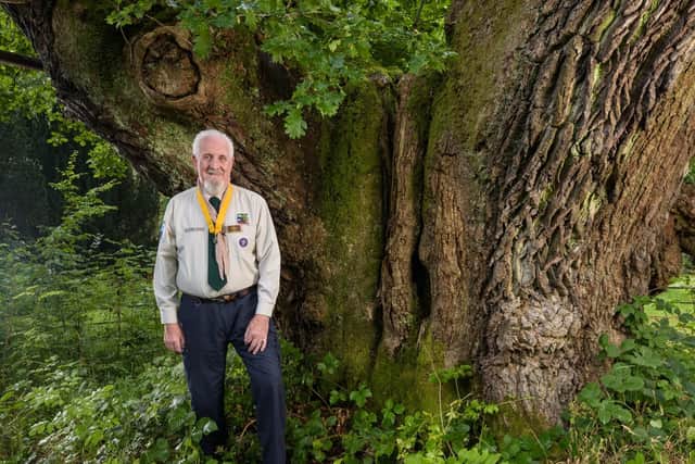 This tree is more than 800 years old and formed part of a deer park planted by King David I.