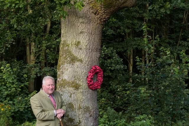 This tree was planted at Dunnottar Church in 1919 to mark the signing of the treaty ending World War One, and is officially recognised as a national war memorial.