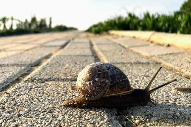Slow down, take your time