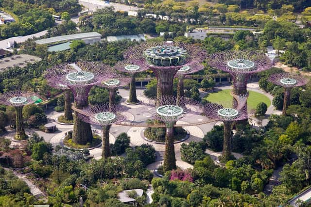 Singapore's Gardens By The Bay. Pic: Gett