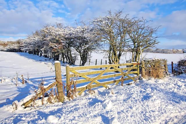 Scotland is set to see snow in some areas next week